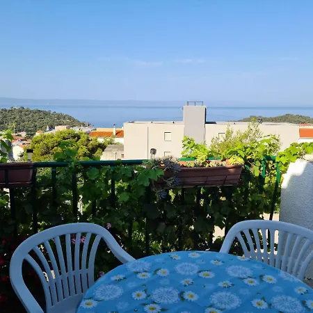 Apartment Vinea