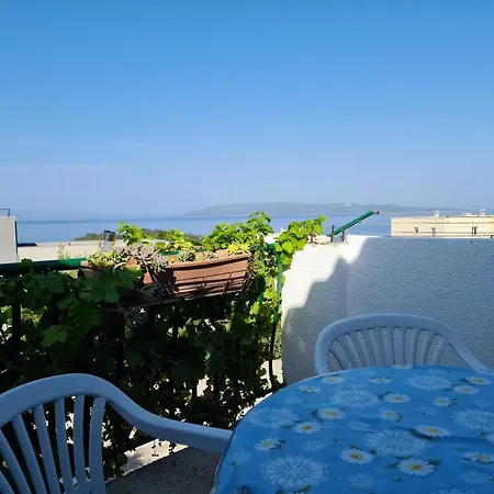 Vinea マカルスカ